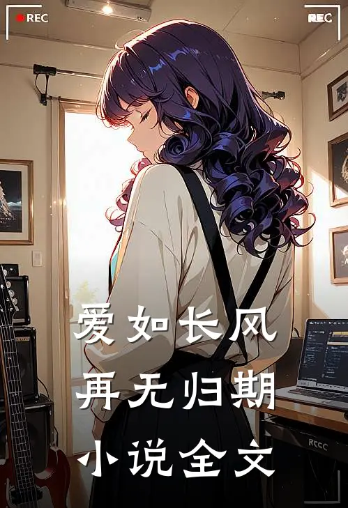 爱如长风，再无归期小说全文