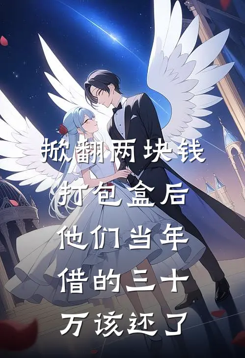 掀翻两块钱打包盒后，他们当年借的三十万该还了