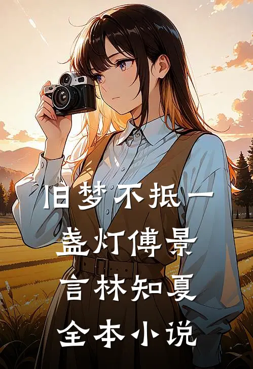 旧梦不抵一盏灯傅景言林知夏全本小说