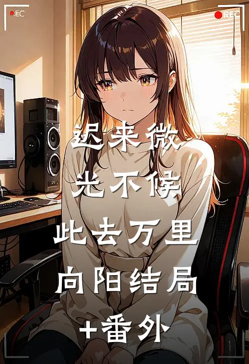 迟来微光不候，此去万里向阳结局+番外