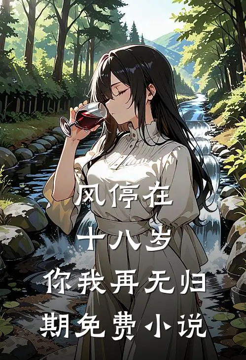 风停在十八岁，你我再无归期免费小说