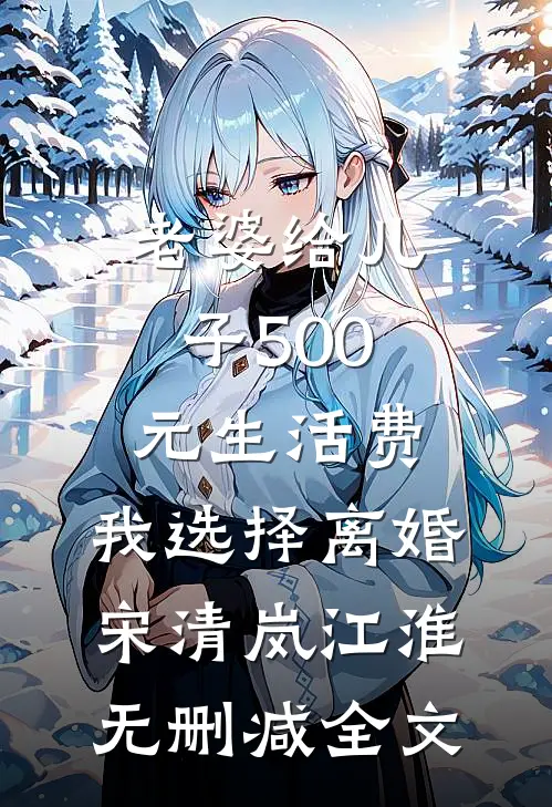 老婆给儿子500元生活费，我选择离婚宋清岚江淮无删减全文
