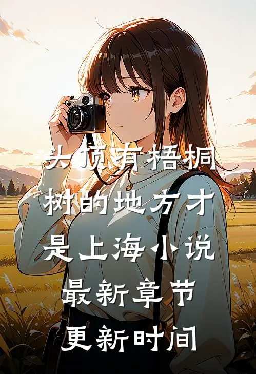 头顶有梧桐树的地方才是上海小说最新章节更新时间