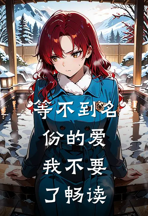 等不到名份的爱，我不要了畅读