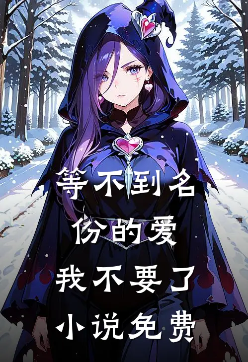 等不到名份的爱，我不要了小说免费