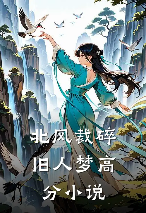 北风裁碎旧人梦高分小说