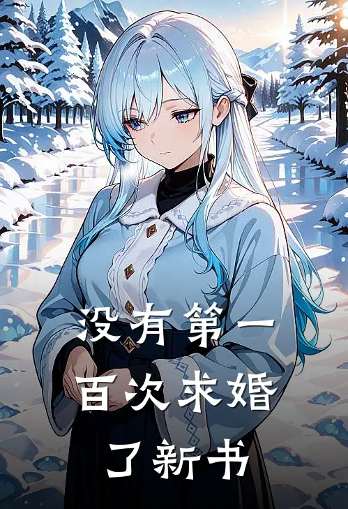没有第一百次求婚了新书