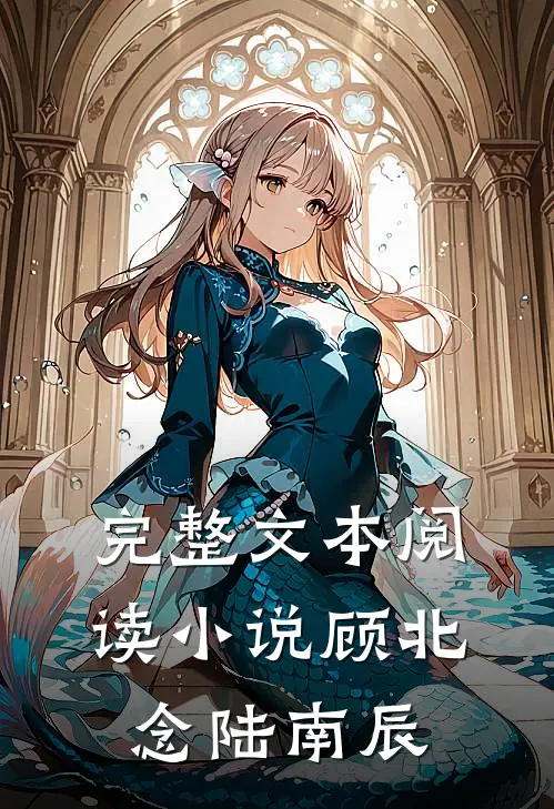 完整文本阅读小说顾北念陆南辰