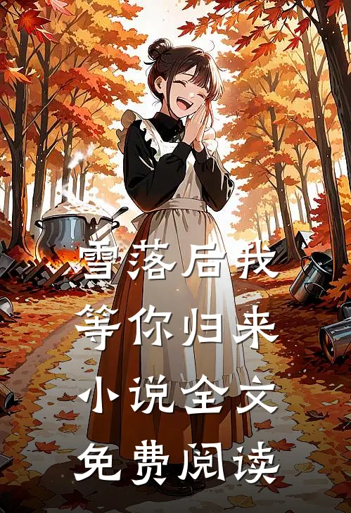 雪落后我等你归来小说全文免费阅读