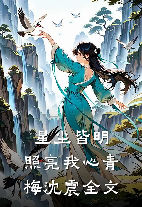 星尘皆明，照亮我心青梅沈震全文
