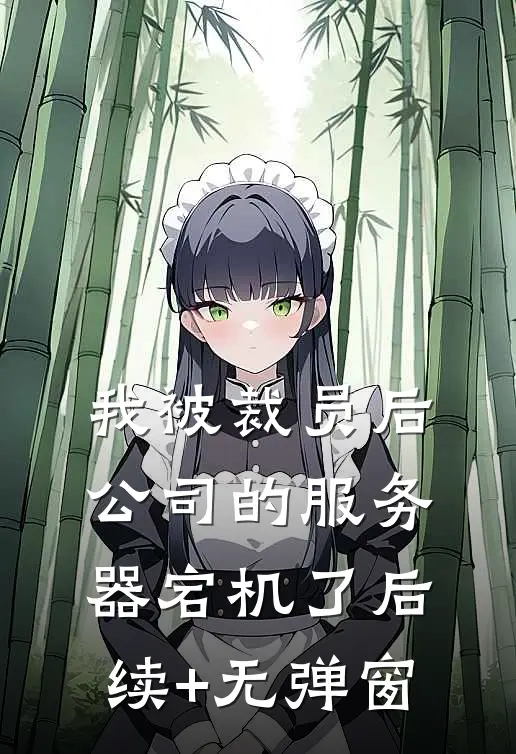 我被裁员后公司的服务器宕机了后续+无弹窗