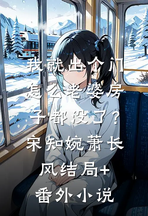 我就出个门，怎么老婆房子都没了？宋知婉萧长风结局+番外小说