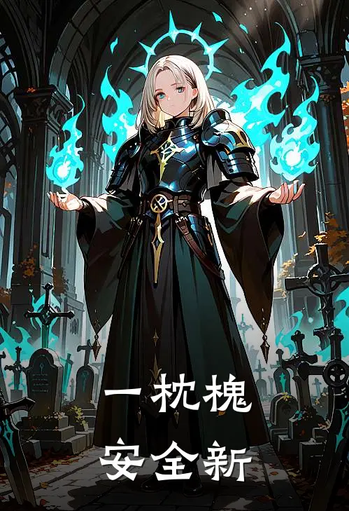 一枕槐安全新