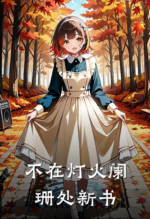 不在灯火阑珊处新书