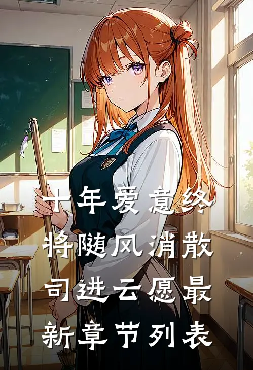 十年爱意终将随风消散司进云愿最新章节列表