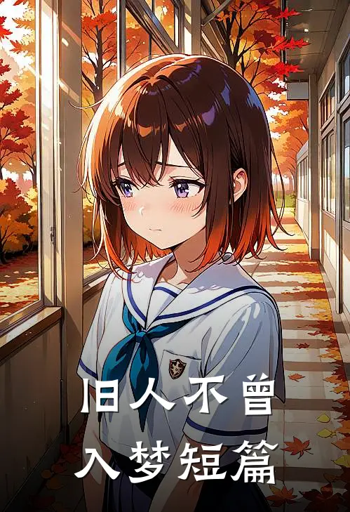 旧人不曾入梦短篇