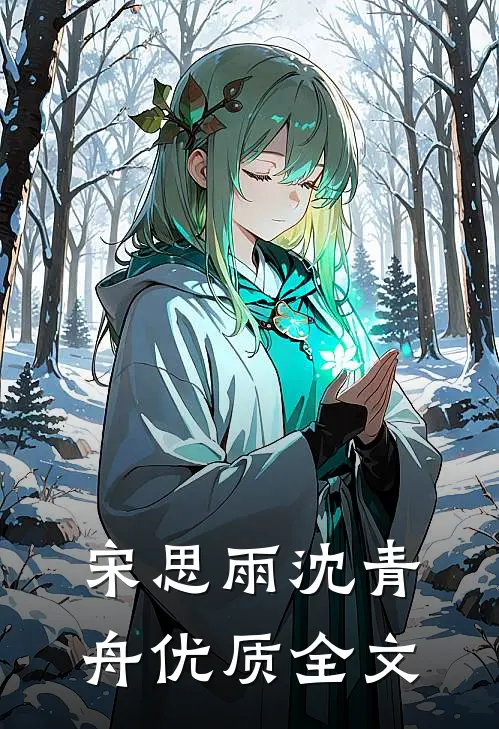 宋思雨沈青舟优质全文