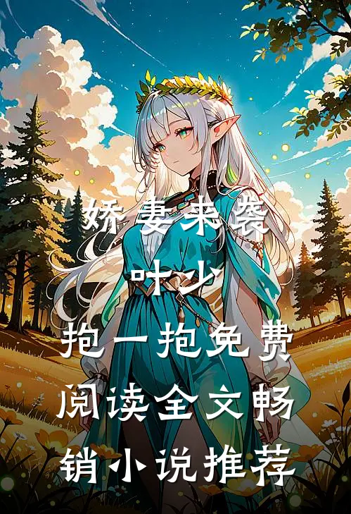娇妻来袭:叶少,抱一抱免费阅读全文畅销小说推荐