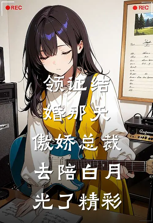 领证结婚那天，傲娇总裁去陪白月光了精彩