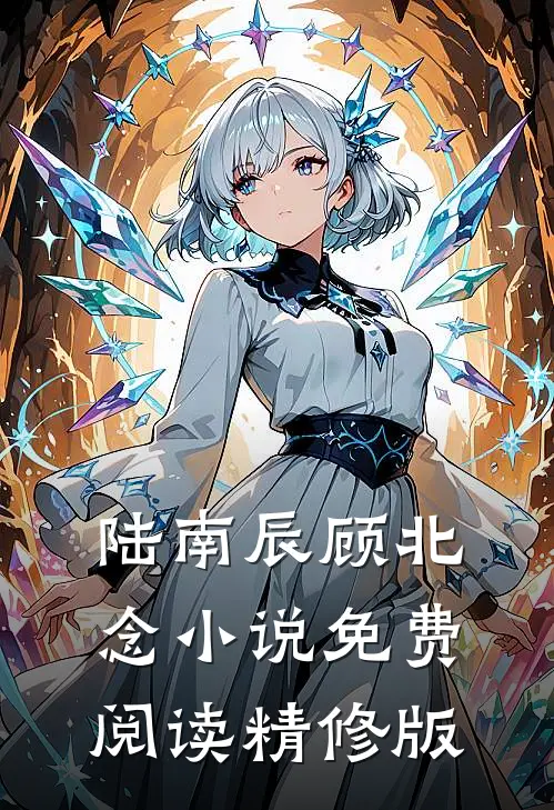 陆南辰顾北念小说免费阅读精修版
