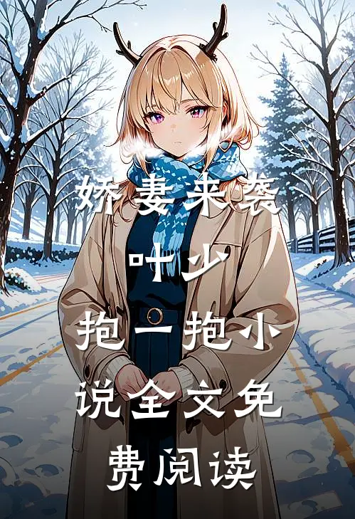 娇妻来袭：叶少，抱一抱小说全文免费阅读