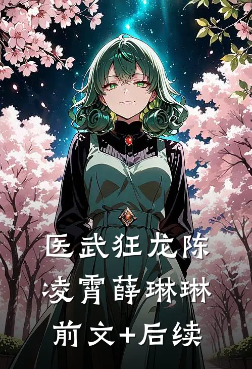 医武狂龙陈凌霄薛琳琳前文+后续