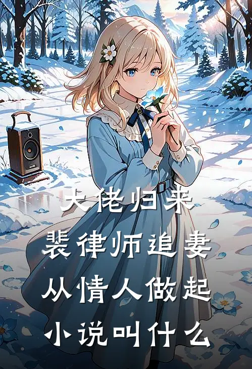 大佬归来，裴律师追妻从情人做起小说叫什么