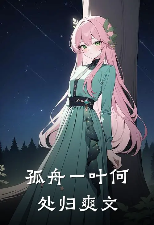 孤舟一叶何处归爽文