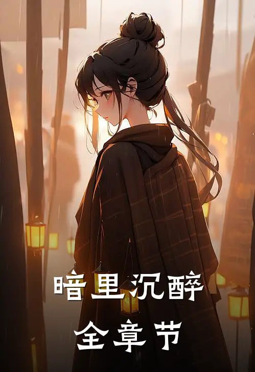 暗里沉醉全章节
