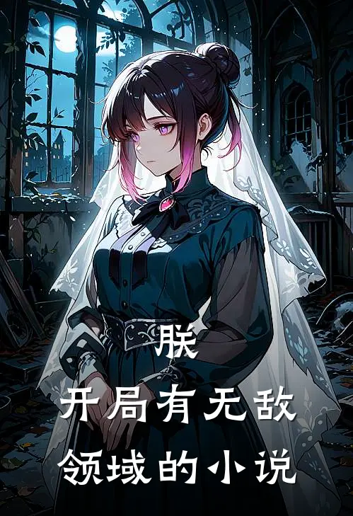 朕,开局有无敌领域的小说