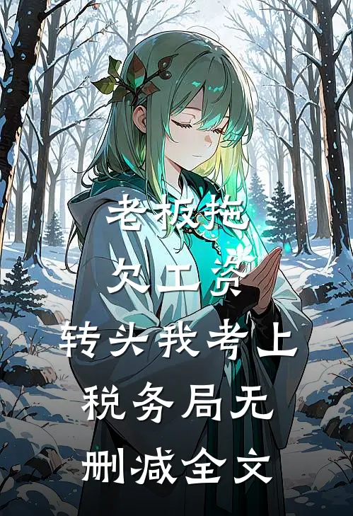 老板拖欠工资，转头我考上税务局无删减全文