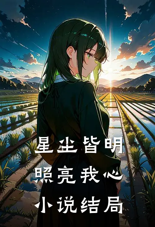 星尘皆明，照亮我心小说结局