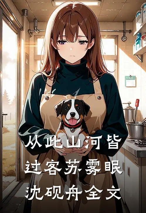 从此山河皆过客苏雾眠沈砚舟全文