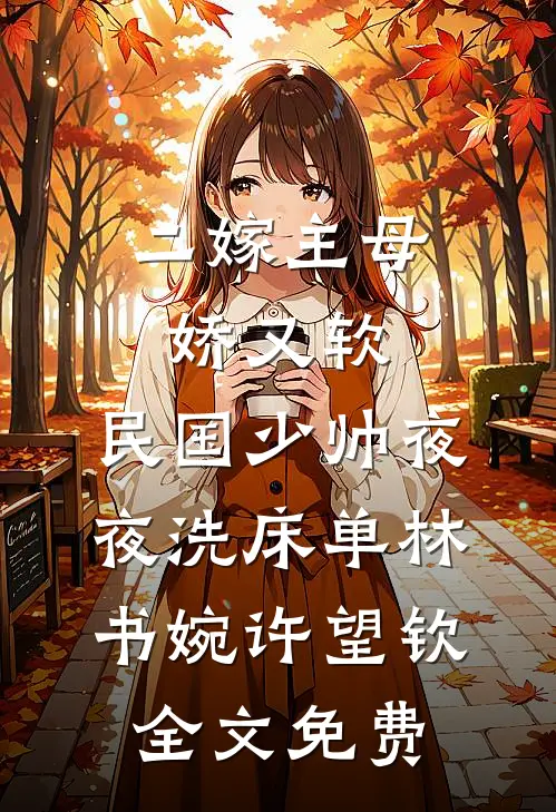 二嫁主母娇又软，民国少帅夜夜洗床单林书婉许望钦全文免费