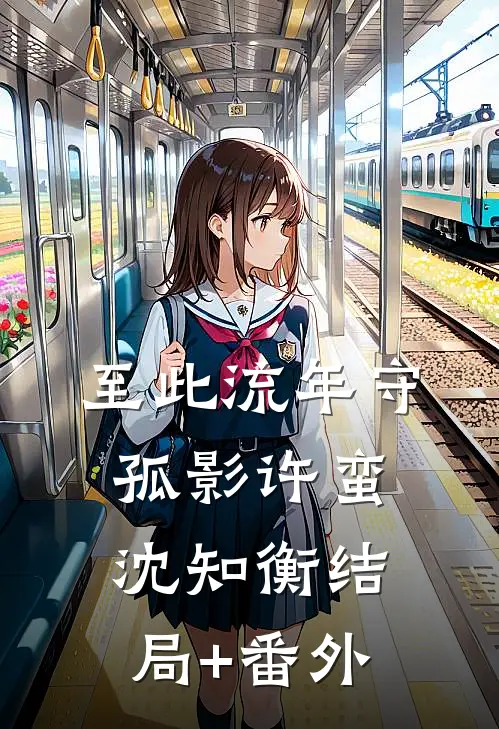 至此流年守孤影许蛮沈知衡结局+番外