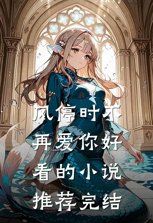 风停时不再爱你好看的小说推荐完结