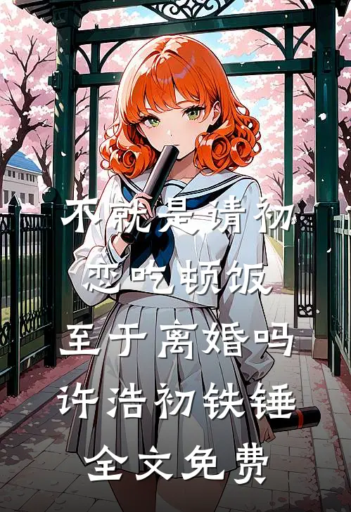不就是请初恋吃顿饭，至于离婚吗许浩初铁锤全文免费