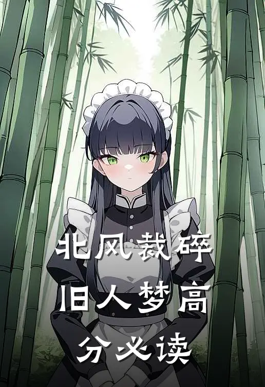 北风裁碎旧人梦高分必读