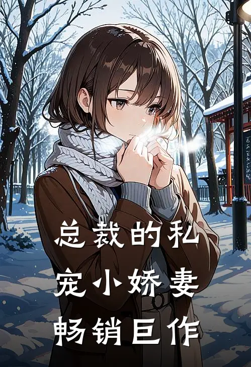 总裁的私宠小娇妻畅销巨作