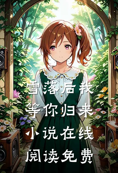 雪落后我等你归来小说在线阅读免费