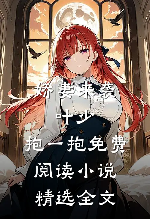 娇妻来袭:叶少,抱一抱免费阅读小说精选全文