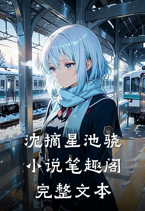 沈摘星池骁小说笔趣阁完整文本