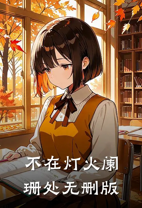 不在灯火阑珊处无删版
