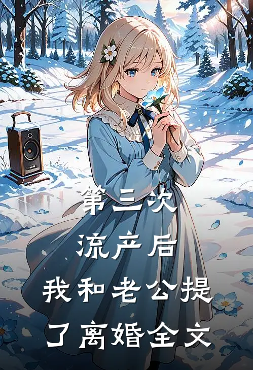 第三次流产后，我和老公提了离婚全文
