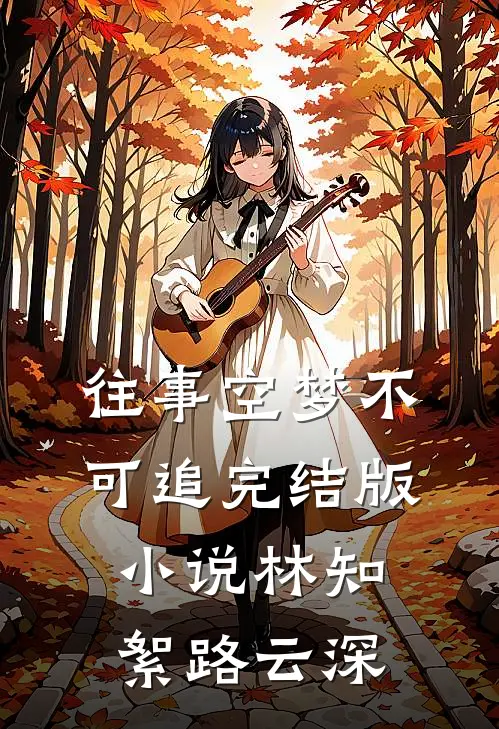 往事空梦不可追完结版小说林知絮路云深