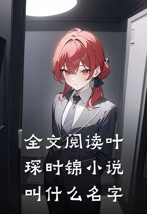 全文阅读叶琛时锦小说叫什么名字