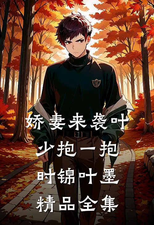 娇妻来袭叶少抱一抱时锦叶墨精品全集