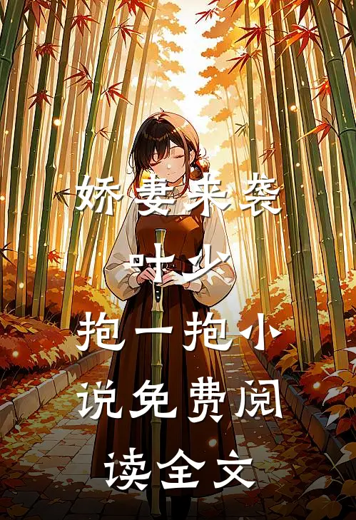 娇妻来袭：叶少，抱一抱小说免费阅读全文