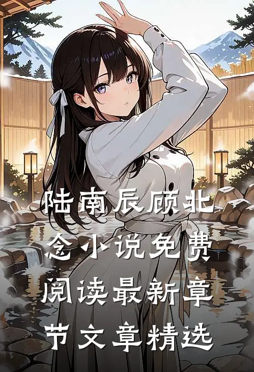 陆南辰顾北念小说免费阅读最新章节文章精选