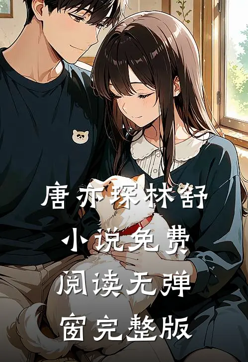 唐亦琛林舒小说免费阅读无弹窗完整版